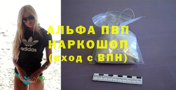 прущие грибы Володарск
