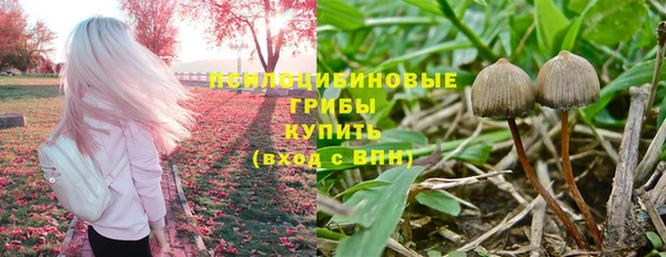 2c-b Приозерск