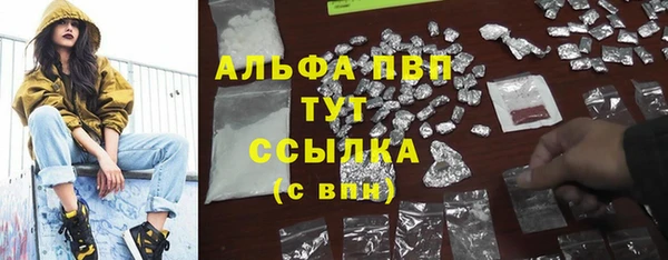 прущие грибы Володарск