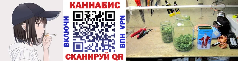 Марихуана сатива  Каспийск 